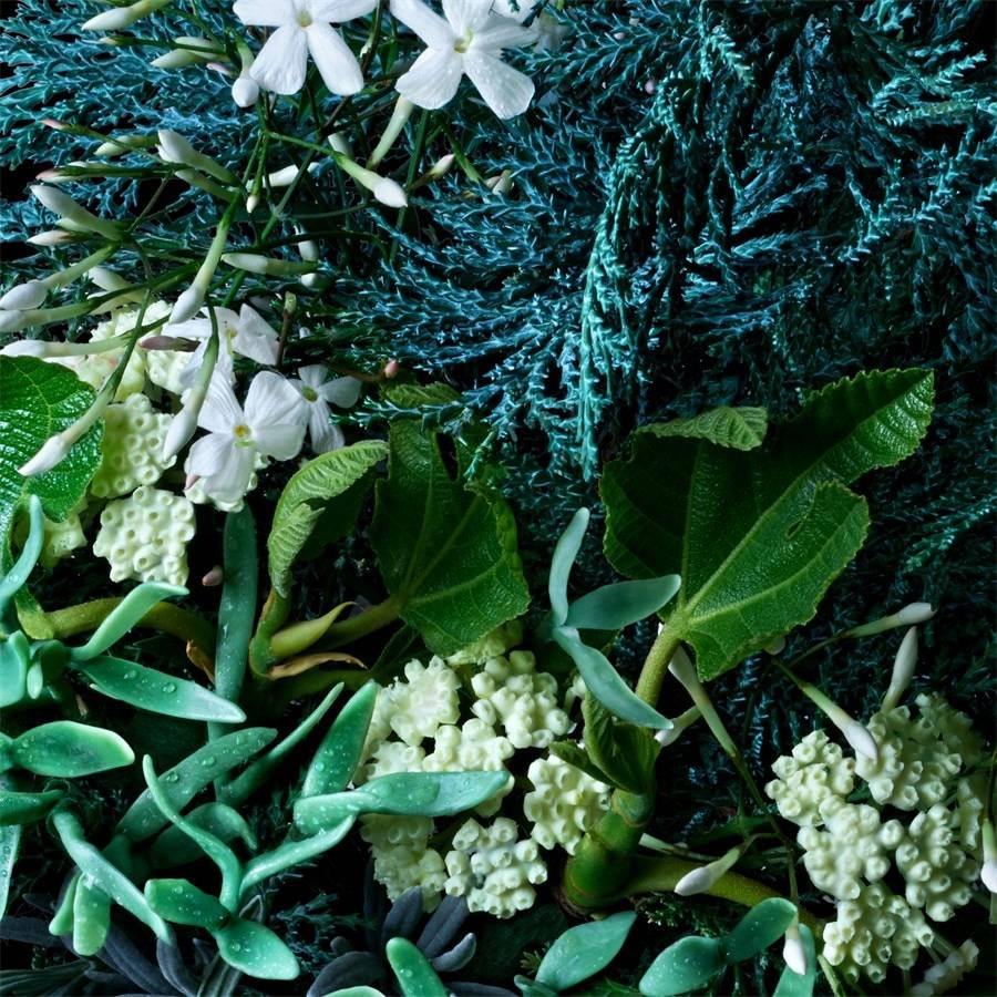 Molton-Brown Coastal Cypress & Sea Fennel Valentinstagsangebot