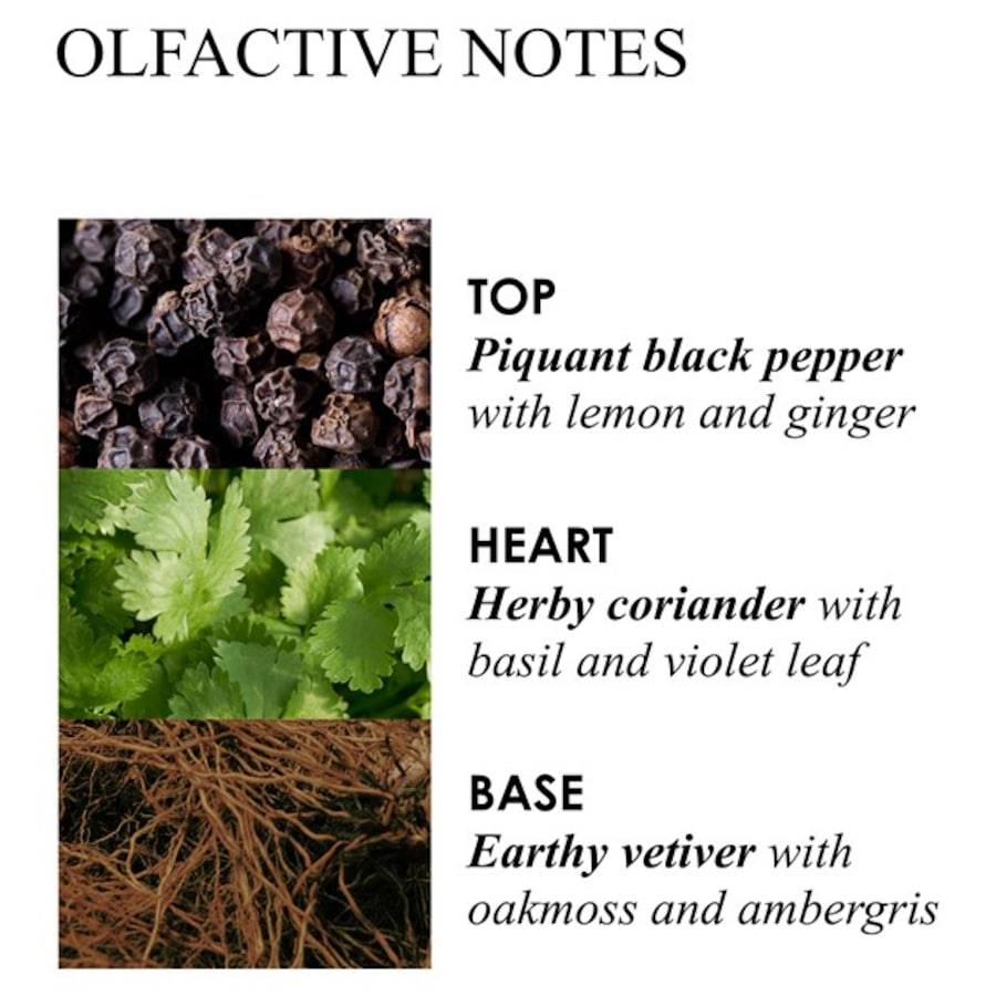 Molton-Brown Re-Charge Black Pepper Online Outlet
