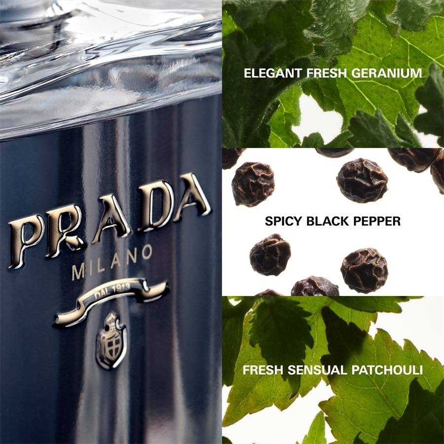 Prada L'Homme Preisnachlass