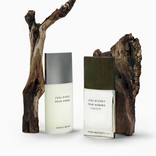 Issey Miyake L'Eau D'Issey Eau and Cèdre Eau de Toilette Intense 50ml Begrenzt auf 3 Tage