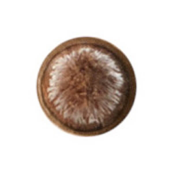 MAC 209 Eye Liner Brush Bestseller