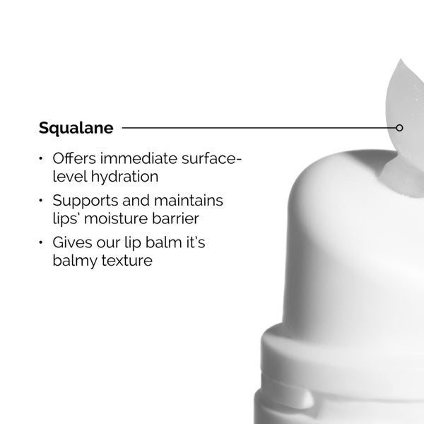 The Ordinary Squalane and Amino Acids Lip Balm 15ml Fabrikverkauf