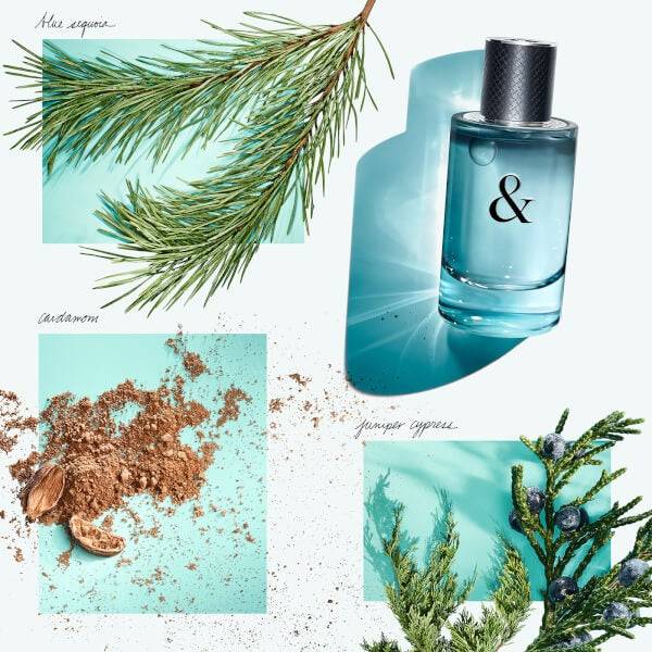 Tiffany & Co. & Love for Him Eau de Toilette 90ml Riesige Ersparnisse