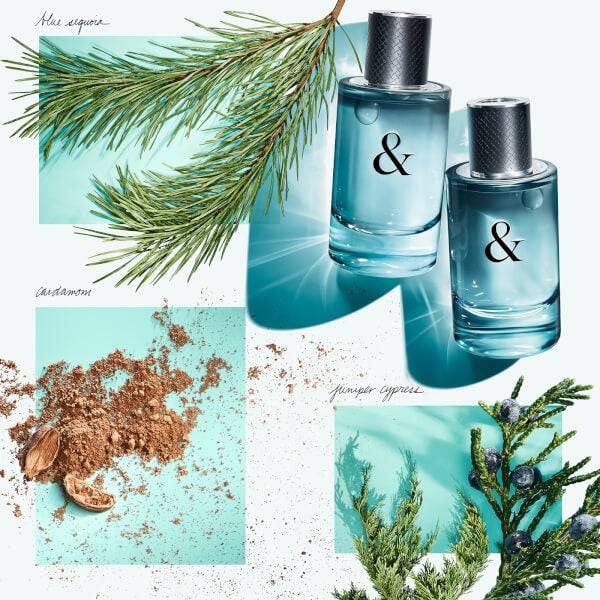 Tiffany & Co. & Love for Him Eau de Toilette 90ml Riesige Ersparnisse