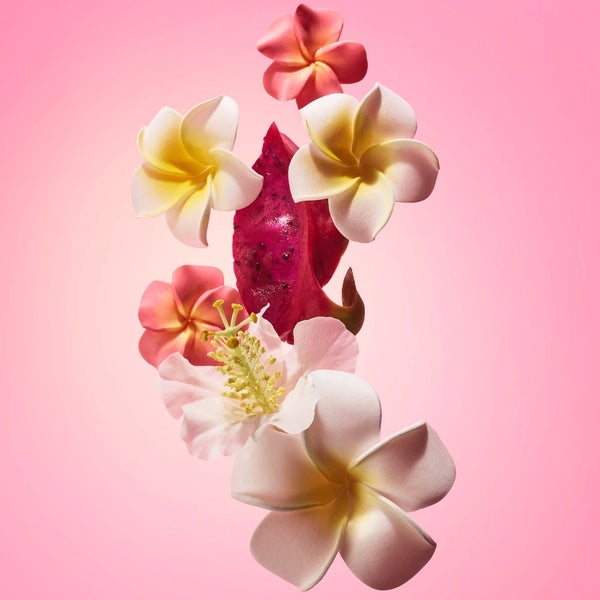 Sol de Janeiro Beija Flor Elasti-Cream 240ml Super Sparpreis