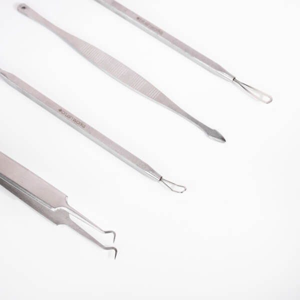 brushworks Blackhead and Blemish Remover Set Neueste Stile