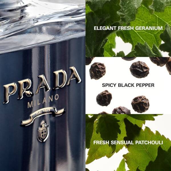 Prada L'Homme L'Eau de Toilette - 50ml Letzte 2 Tage