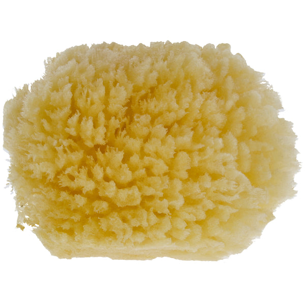 Parsa Beauty PARSA Baby Naturmeeresschwamm Mini Bis zu 60% Rabatt