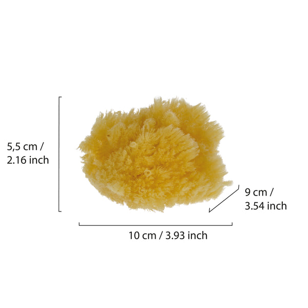 Parsa Beauty PARSA Baby Naturmeeresschwamm Mini Bis zu 60% Rabatt