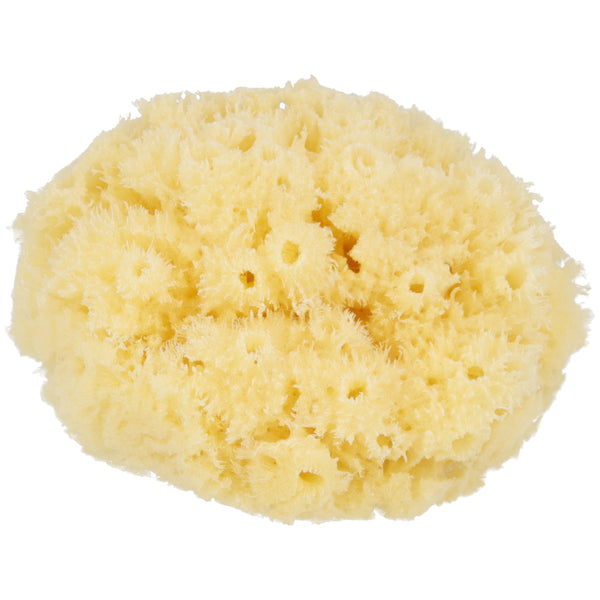 Parsa Beauty PARSA Baby Naturmeeresschwamm Mini Bis zu 60% Rabatt