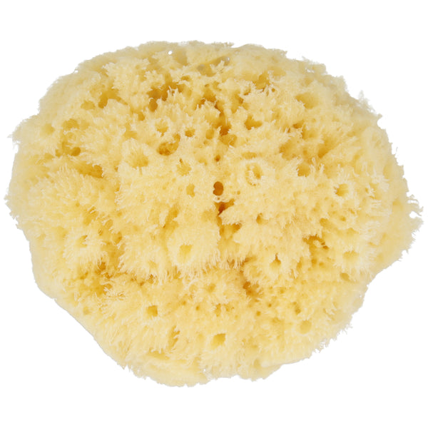 Parsa Beauty PARSA Baby Naturmeeresschwamm Mini Bis zu 60% Rabatt