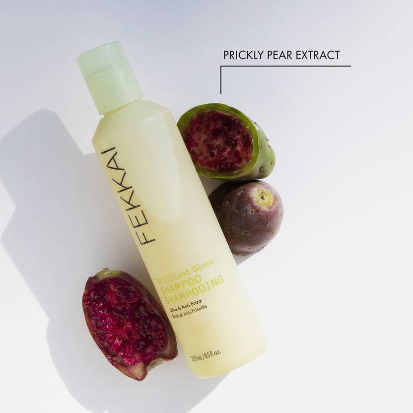 FEKKAI Brilliant Gloss Shampoo (250ml) Preisnachlass