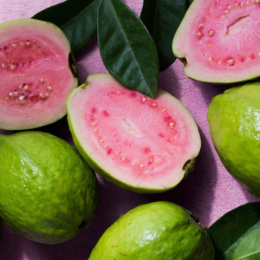 KORRES GUAVA Showergel 1+1 Set Osterangebot