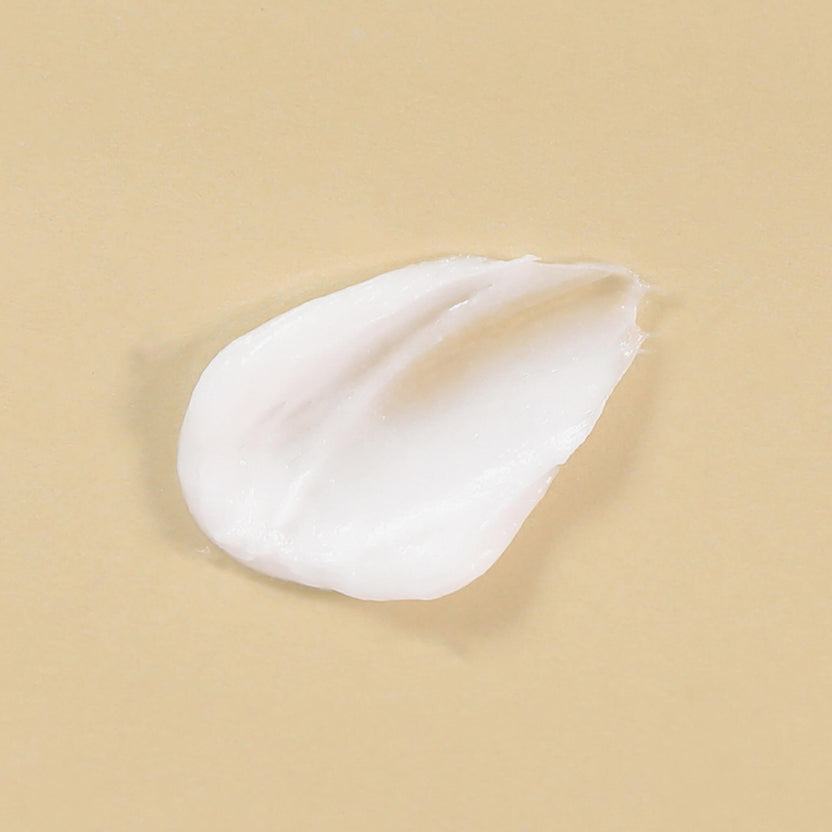 MIZON Snail Repair Foam Cleanser (60ml) Fabrikladen