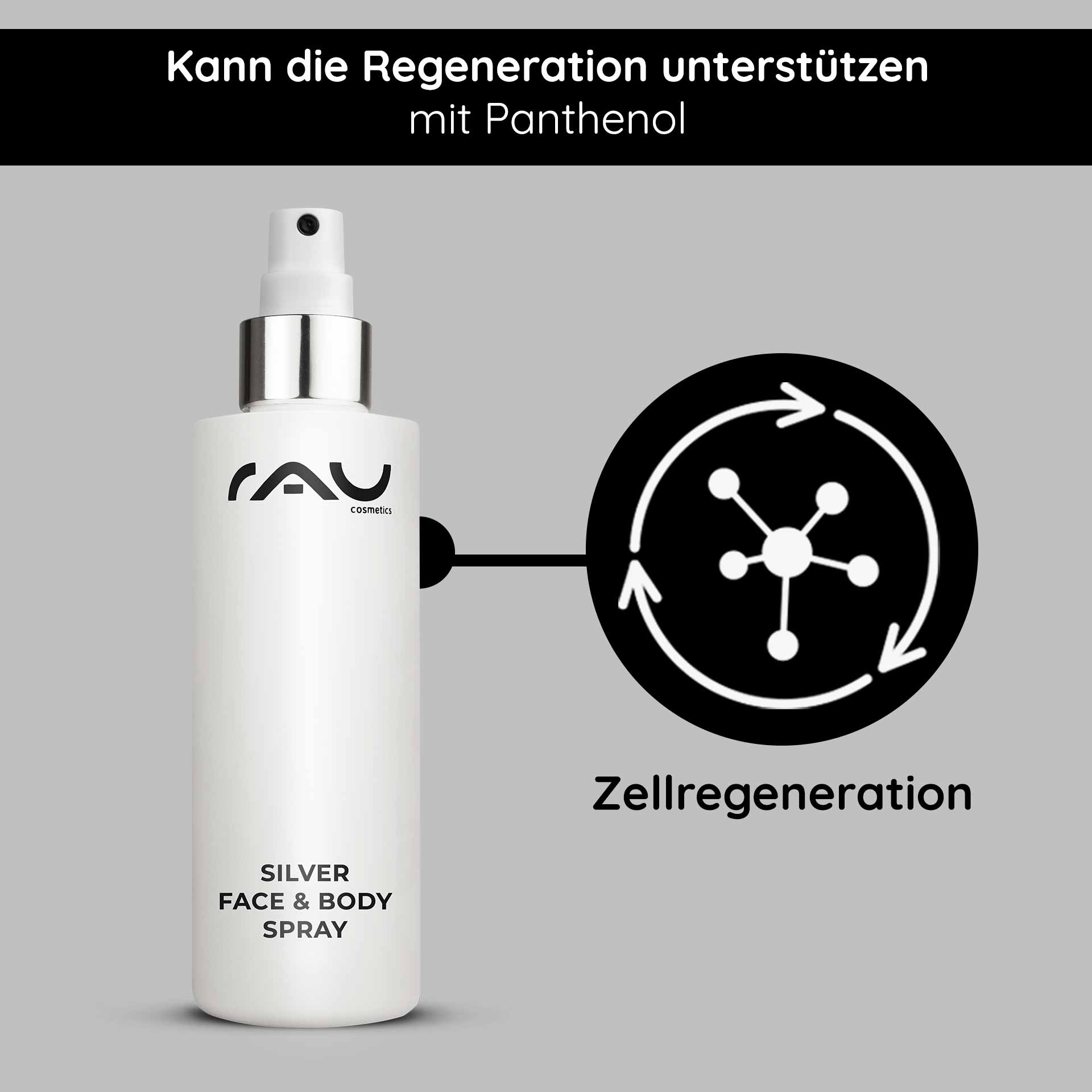 Rau Cosmetics Silver Face & Body Spray 200 ml mit Panthenol & Microsilber Kostenloser Versand international