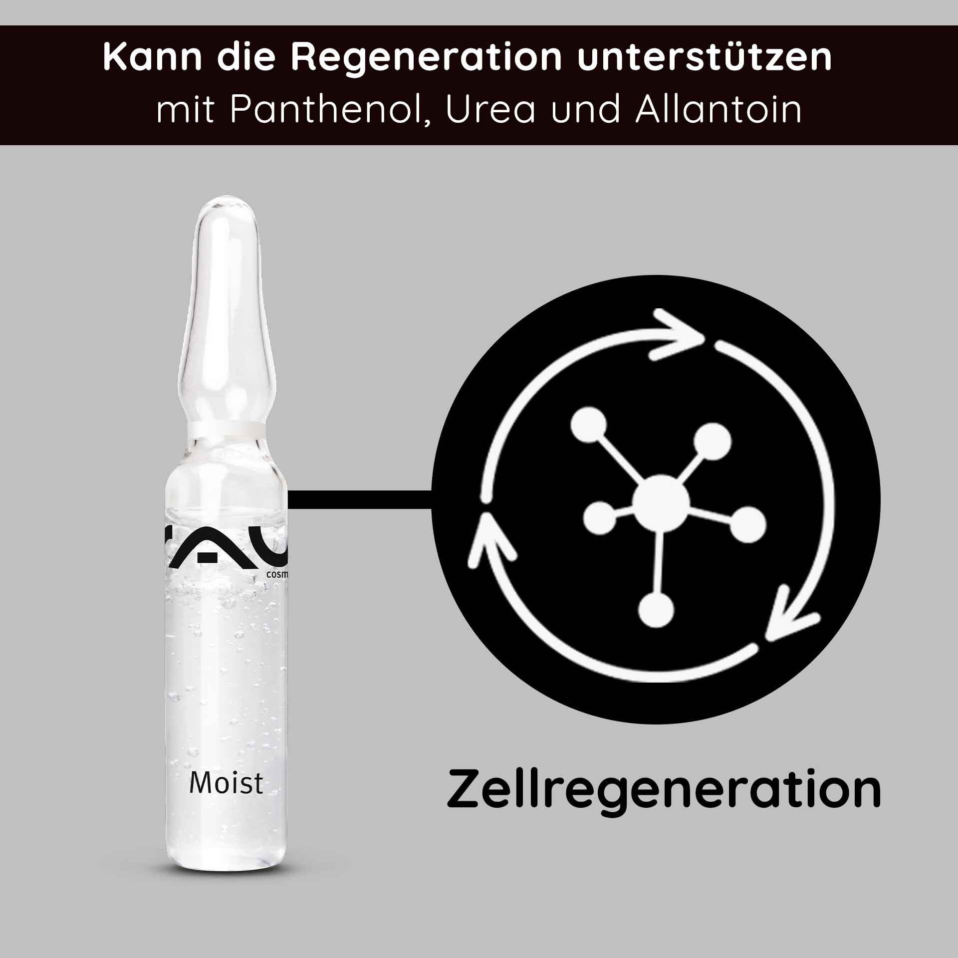 Rau Cosmetics Moist Ampullen 7x2 ml inkl. Applikator Hyaluron Booster zollfrei